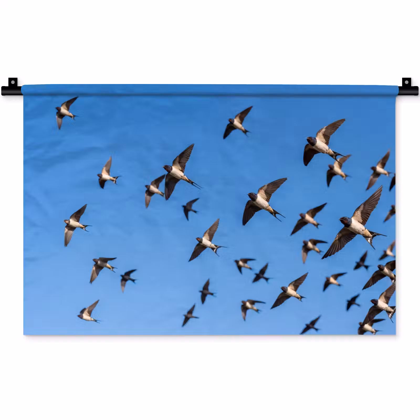 Wandkleed - Zwaluwen - Vliegen - Blauw — 1