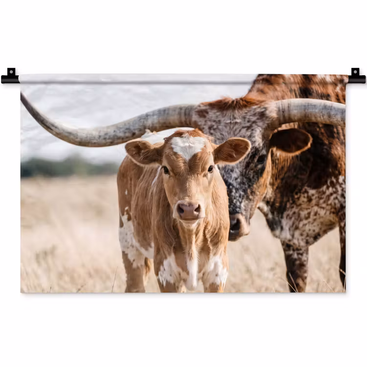Wandkleed - Texas Longhorn - Kalf - Weide - Dieren — 1