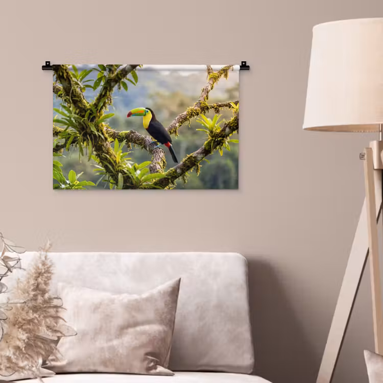 Wandkleed - Toekan - Jungle - Natuur - Kleurrijk — 2