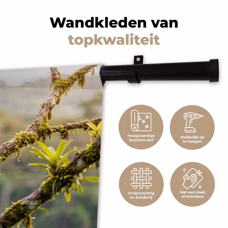 Wandkleed - Toekan - Jungle - Natuur - Kleurrijk — 3