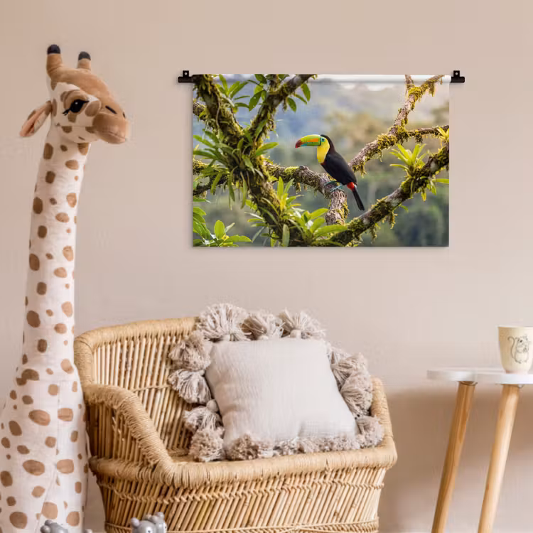 Wandkleed - Toekan - Jungle - Natuur - Kleurrijk — 5