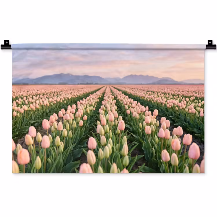 Wandkleed - Tulpen - Landschap - Roze — 1