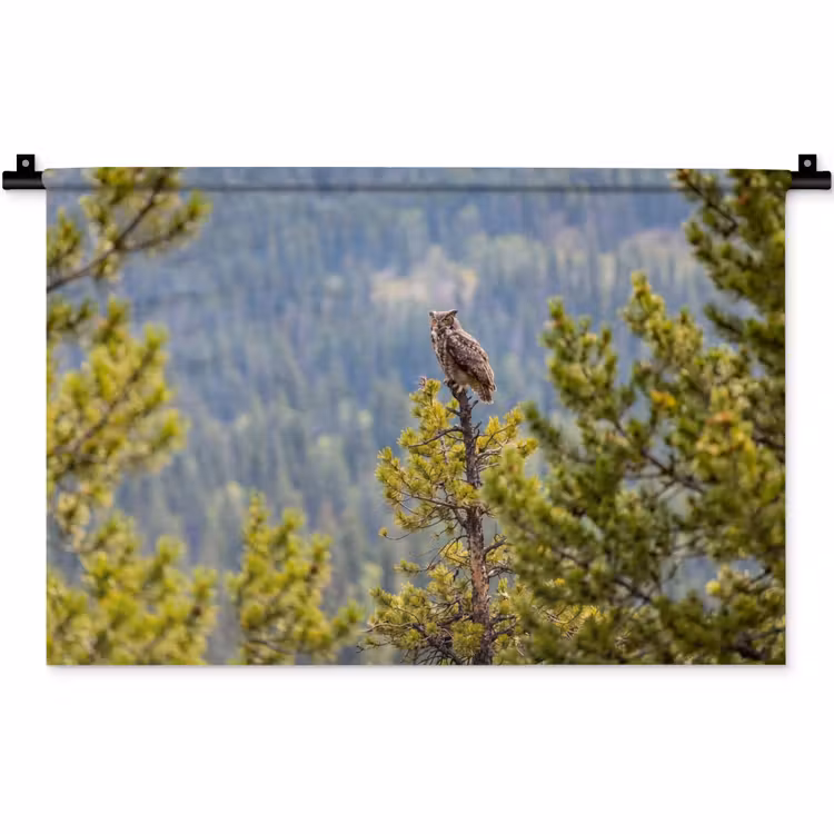 Wandkleed - Uil - Oehoe - Bomen - Natuur — 1