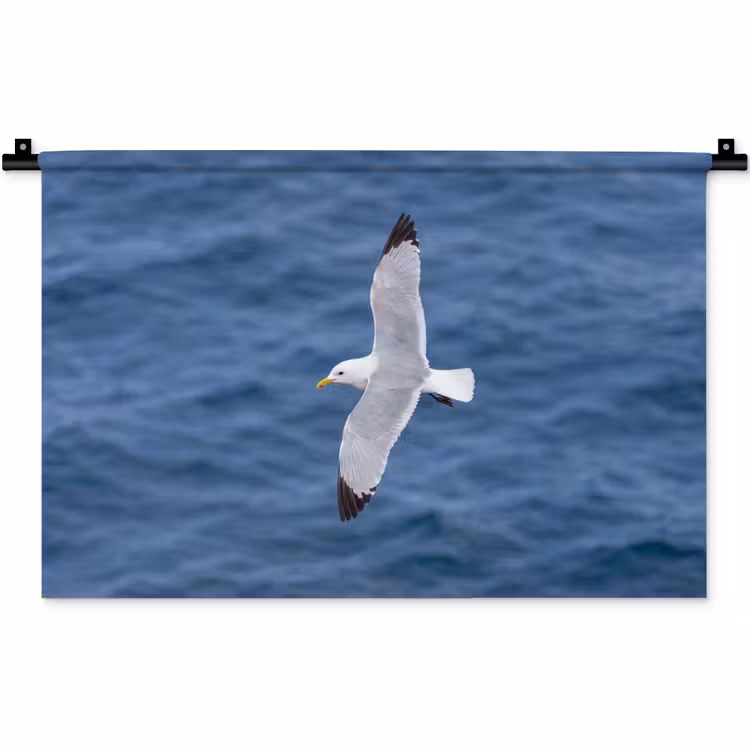 Wandkleed - Zeemeeuw - Oceaan - Blauw — 1