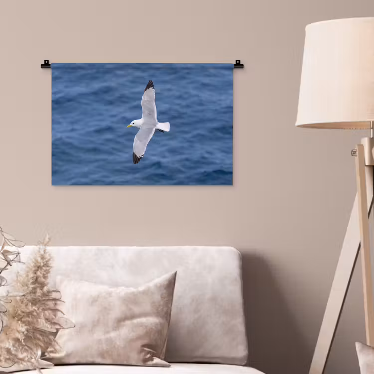 Wandkleed - Zeemeeuw - Oceaan - Blauw — 2