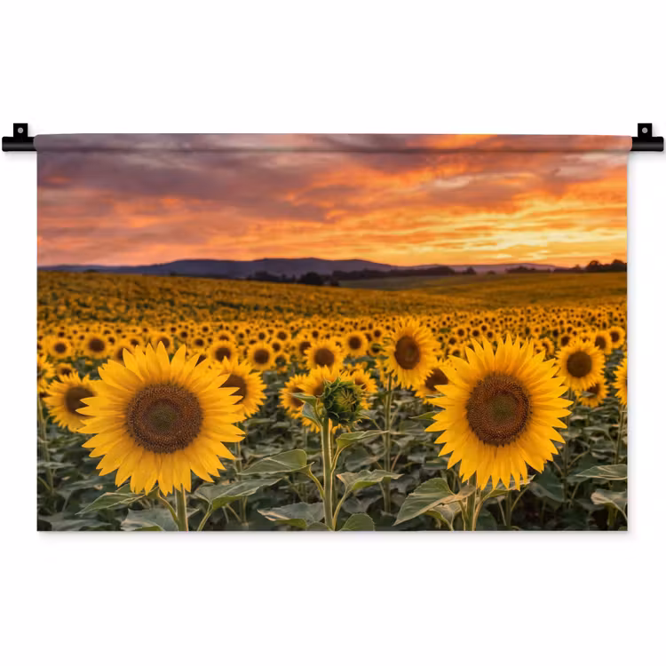 Wandkleed - Zonnebloemen - Heuvellandschap - Geel — 1