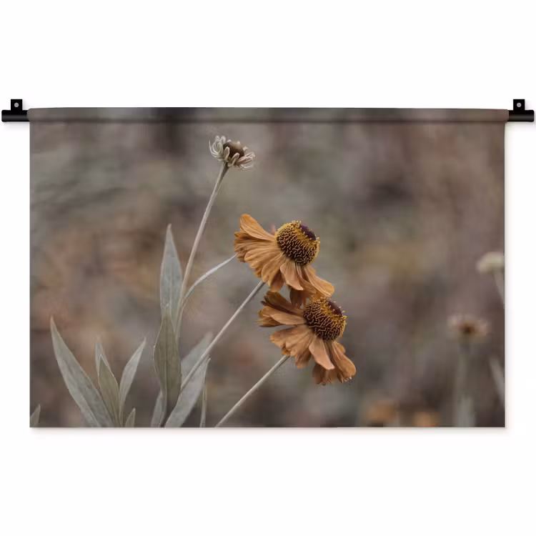 Wandkleed - Zonnehoed - Droogbloemen - Geel - Warm — 1