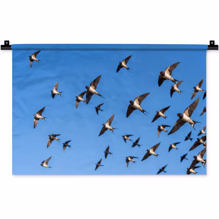 Wandkleed - Zwaluwen - Vliegen - Blauw — 1