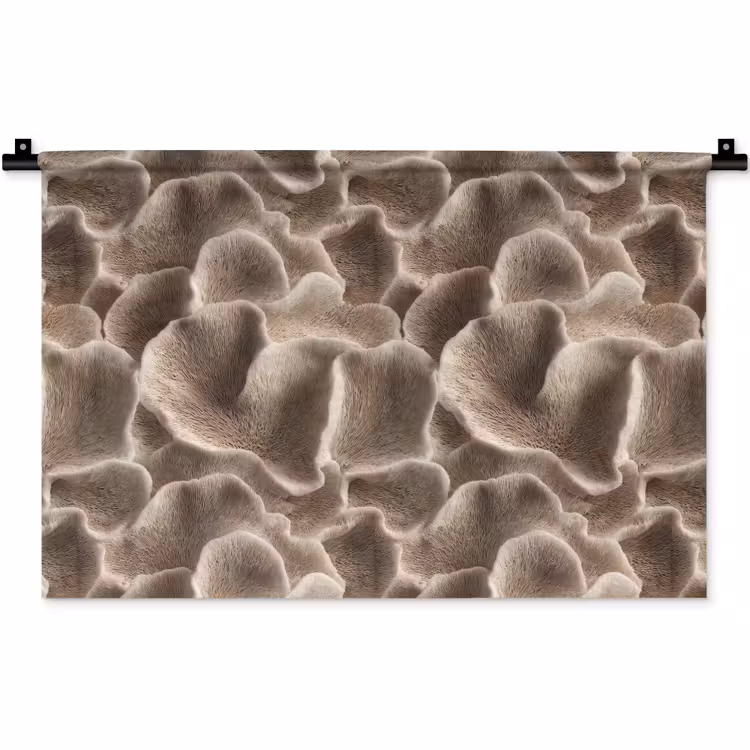 Wandkleed - Waaiervorm - Beige - Vezel textuur — 1
