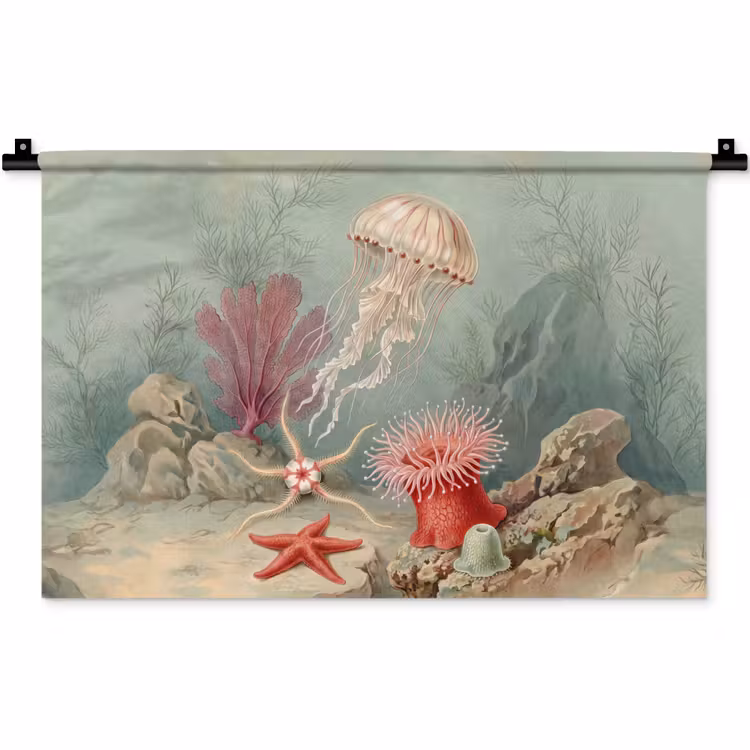 Wandkleed - Zeeleven - Kwal - Onderwater - Illustratie - Beige — 1