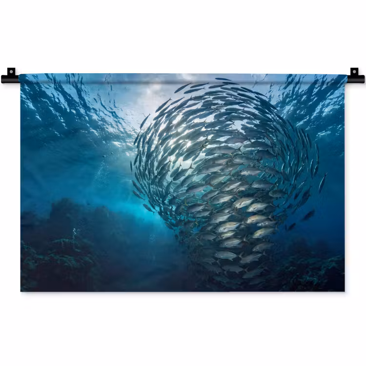 Wandkleed - Vis - School - Oceaan - Natuur - Blauw — 1