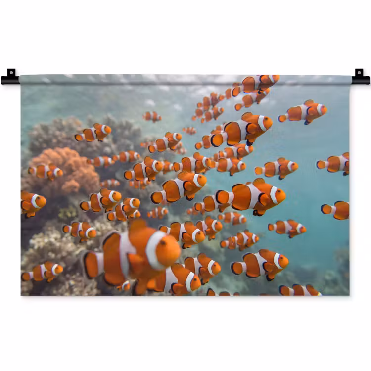 Wandkleed - Vis - School - Onderwater - Dieren - Oranje — 1