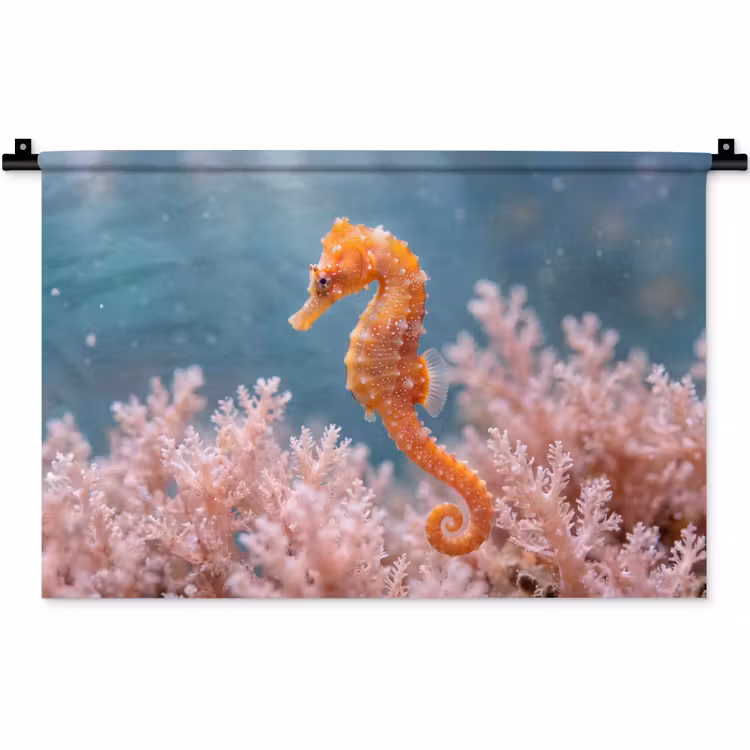 Wandkleed - Vis - Koraal - Oceaan - Macro - Oranje — 1