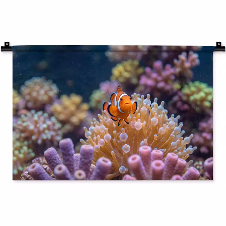 Wandkleed - Vis - Koraal - Onderwater - Oranje - Dieren — 1