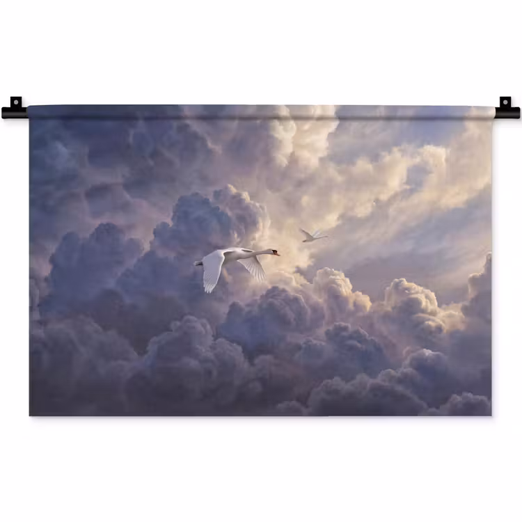 Wandkleed - Vogel - Vliegend - Natuur - Wit - Wolken — 1