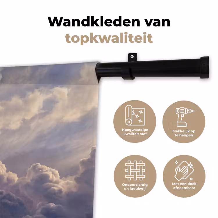 Wandkleed - Vogel - Vliegend - Natuur - Wit - Wolken — 3