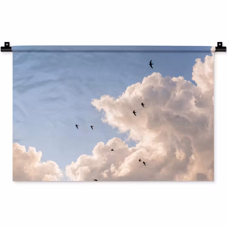 Wandkleed - Vogel - Vlucht - Wolken - Natuur - Blauw — 1