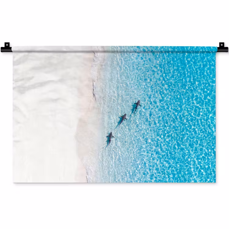 Wandkleed - Vis - Oceaan - Strand - Turquoise - Natuur — 1