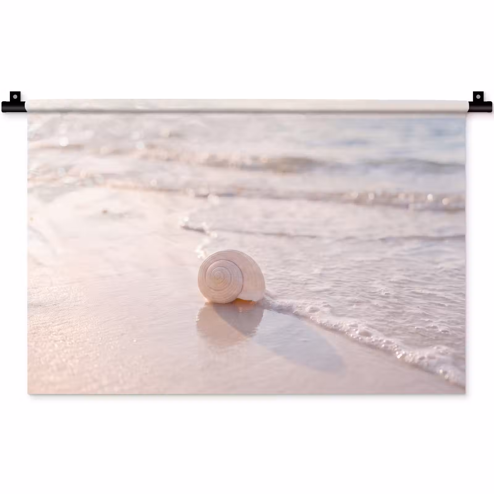 Wandkleed - Zeeschelp - Strand - Zee - Natuur - Beige — 1
