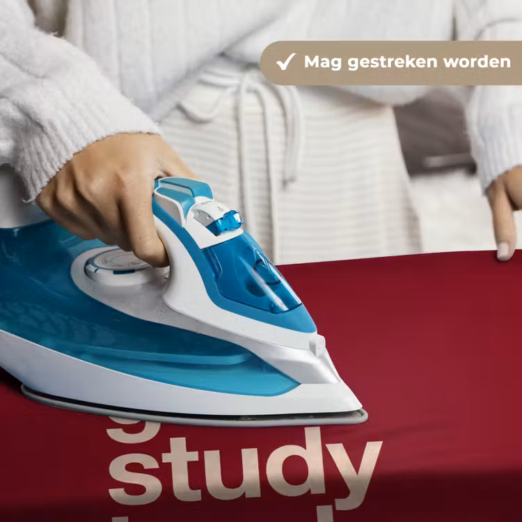 Wandkleed - Tekst - Studie - Motivatie - Modern - Rood — 6