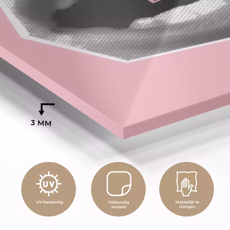 Glas schilderij - Mond - BLAH BLAH - Roze — 3