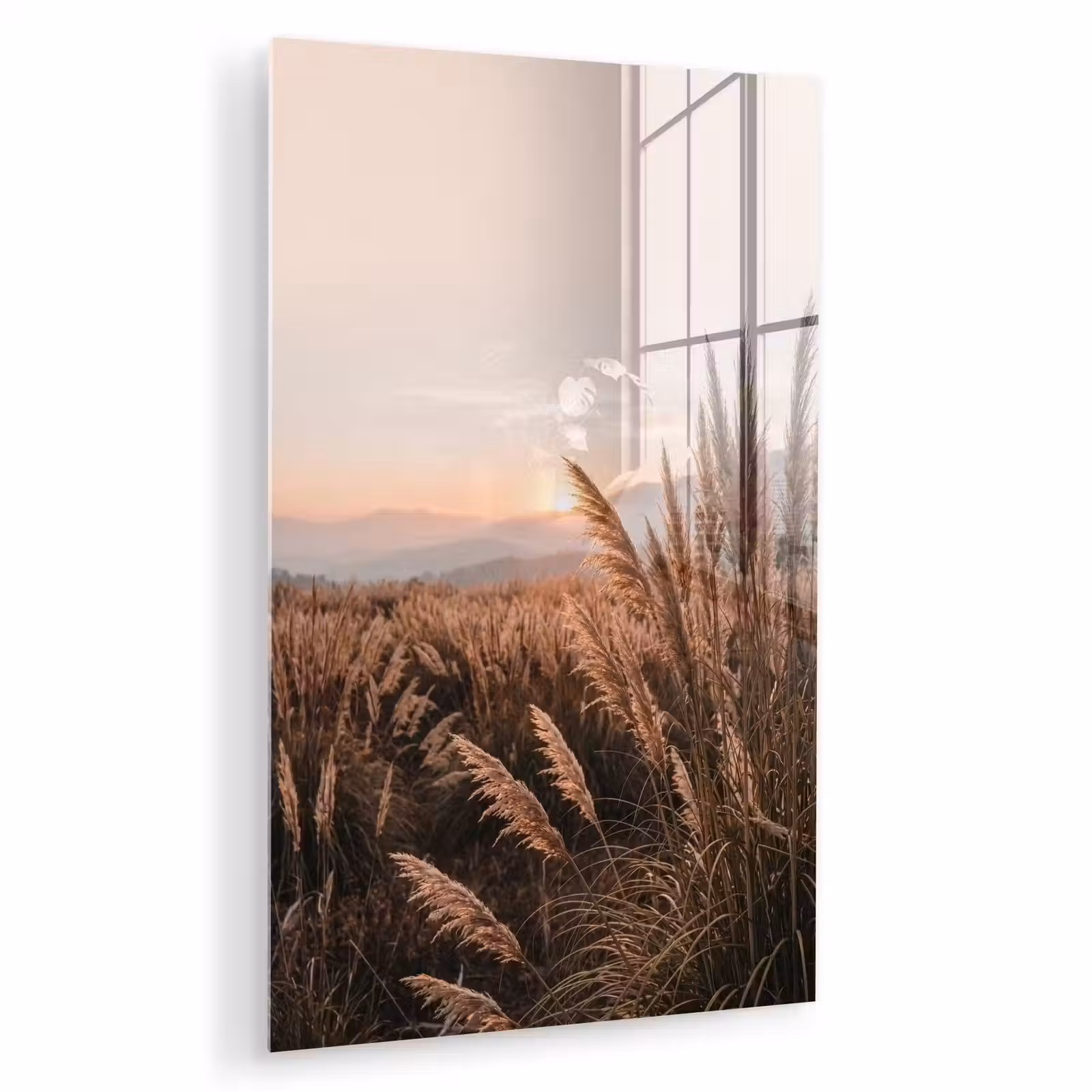 Glas schilderij - Gras - Veld - Zon - Natuur — 1