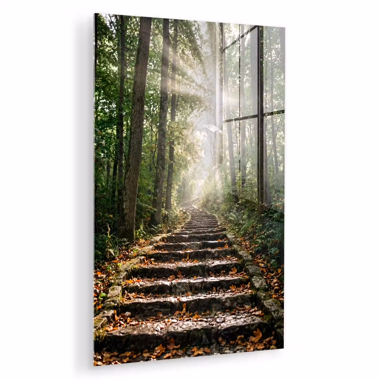 Glas schilderij - Stenen - Trap - Bos - Natuur — 1