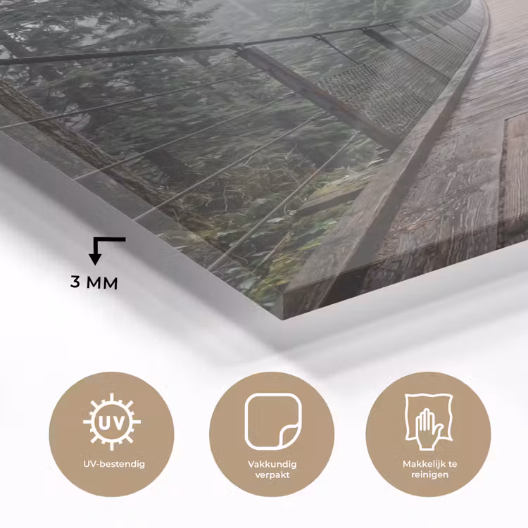 Glas schilderij - Brug - Bos - Mist - Natuur — 3