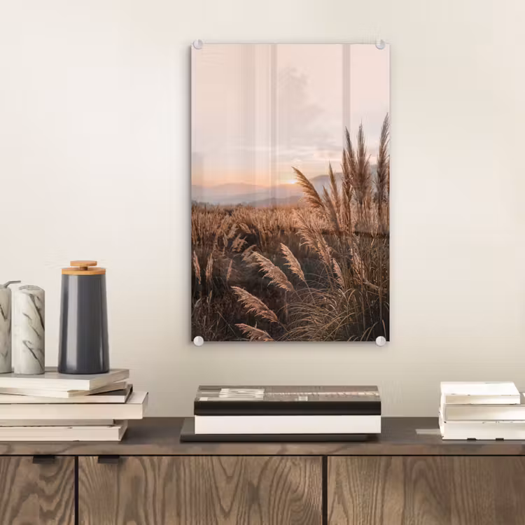 Glas schilderij - Gras - Veld - Zon - Natuur — 2