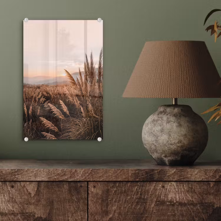Glas schilderij - Gras - Veld - Zon - Natuur — 4