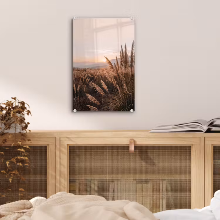 Glas schilderij - Gras - Veld - Zon - Natuur — 5