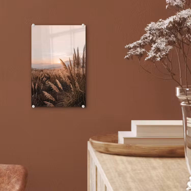Glas schilderij - Gras - Veld - Zon - Natuur — 6