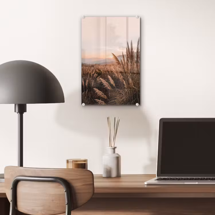 Glas schilderij - Gras - Veld - Zon - Natuur — 7