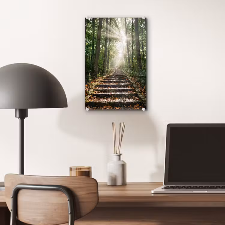 Glas schilderij - Stenen - Trap - Bos - Natuur — 7
