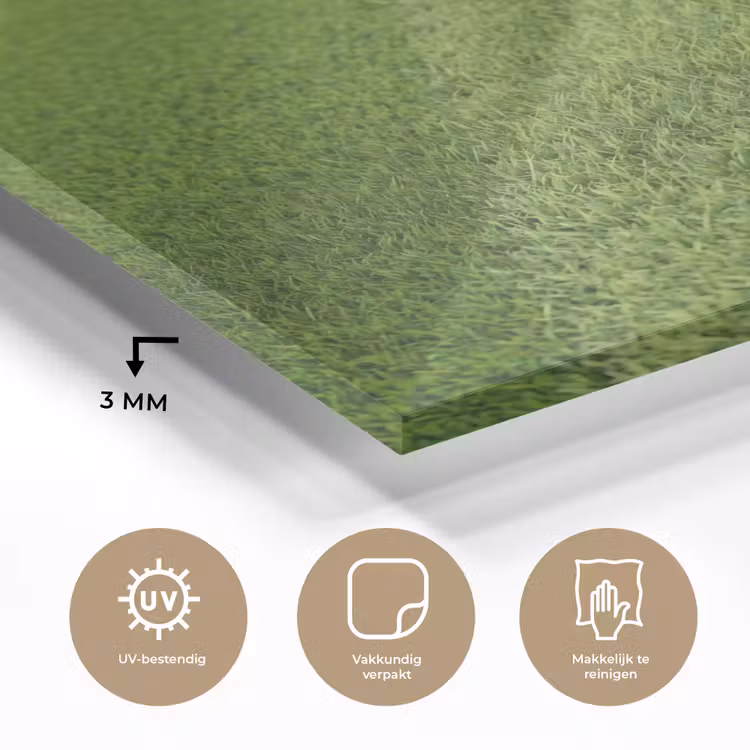 Glas schilderij - Voetbal - Grasveld - Sport - Groen — 3