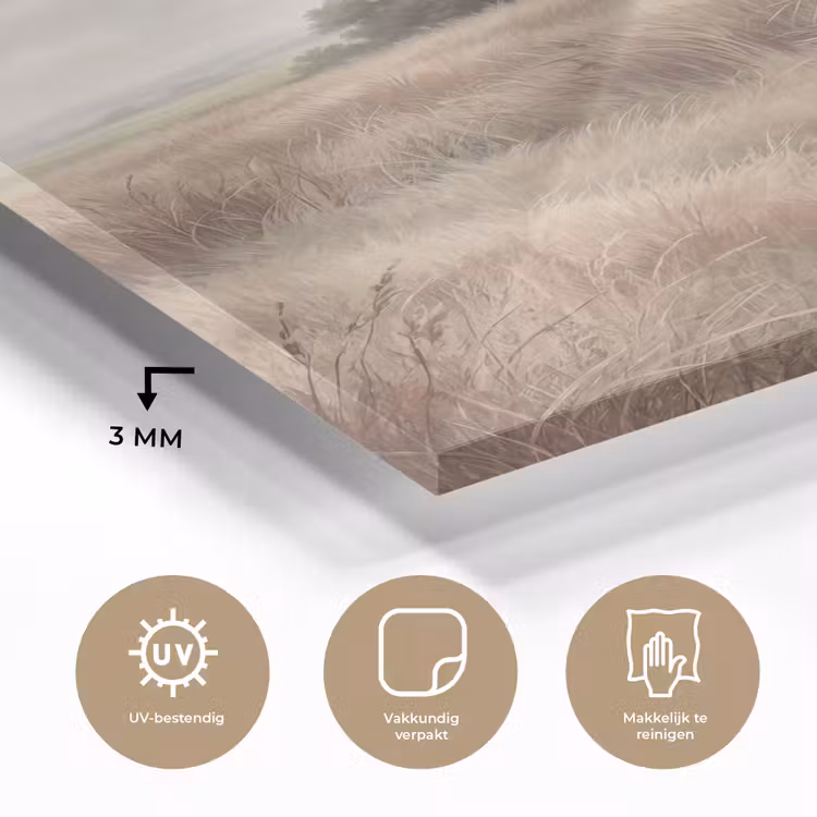 Glas schilderij - Landschap - Minimalistisch - Beige — 3