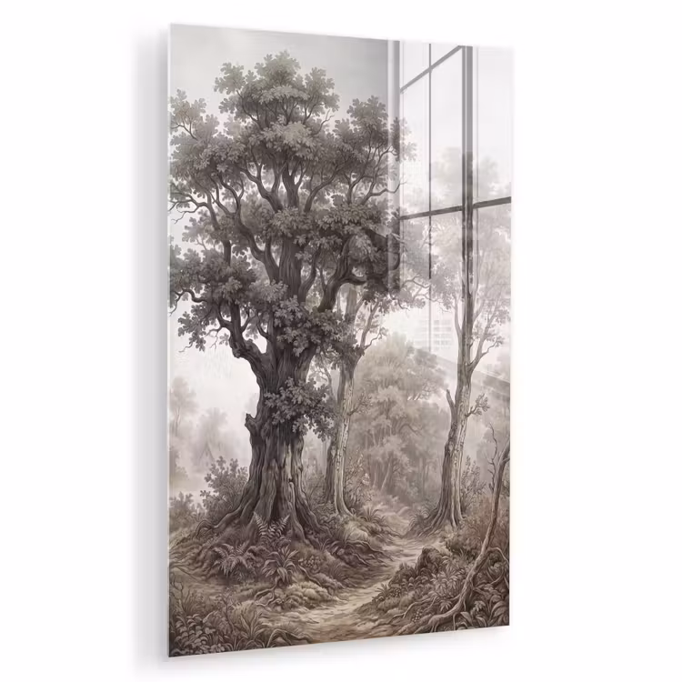 Glas schilderij - Natuur - Bos - Eik — 1