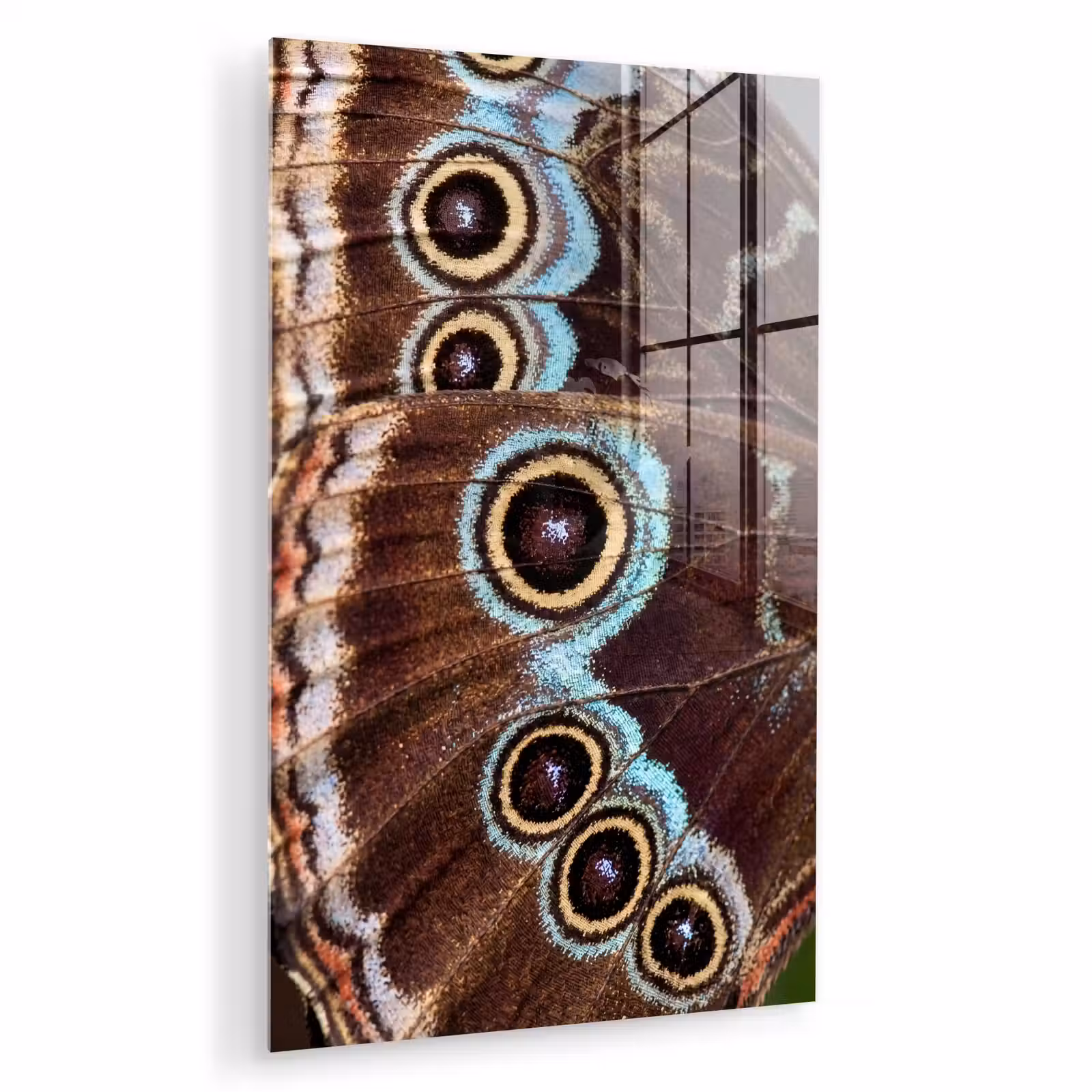 Glas schilderij - Vleugels - Vlinder - Blauw — 1