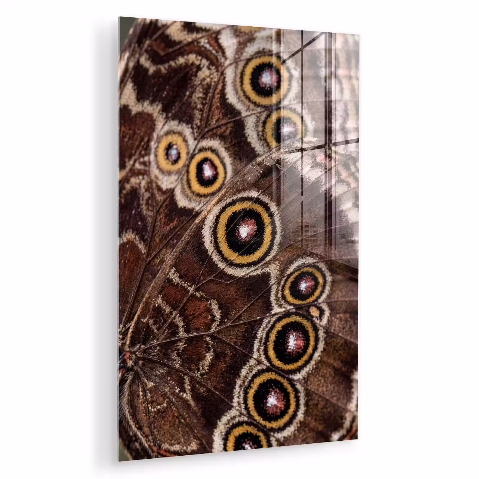 Glas schilderij - Vlinder - Vleugel - Abstract — 1