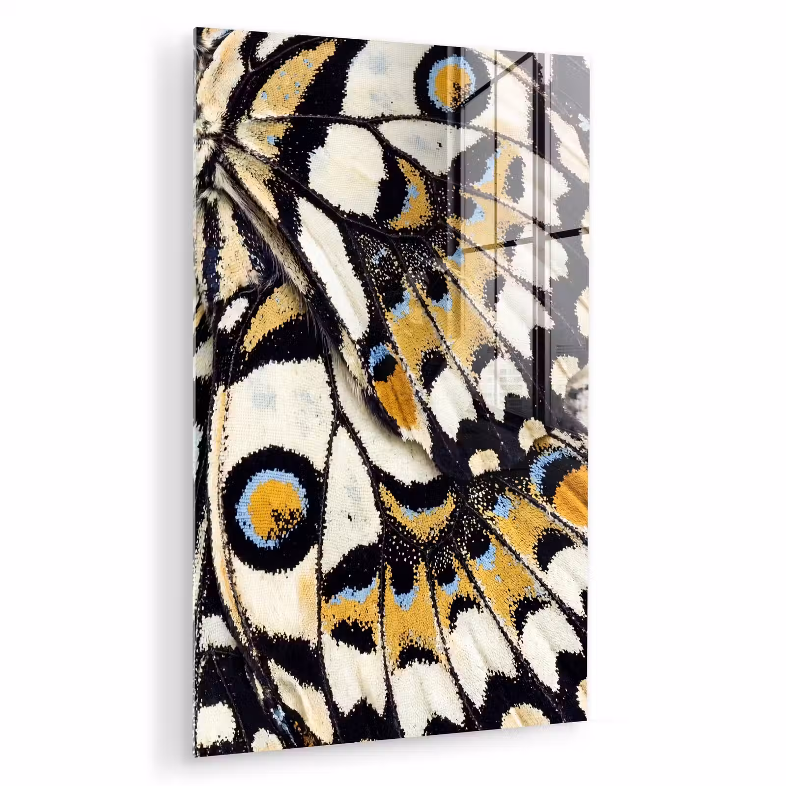 Glas schilderij - Vlinder - Vleugel - Geel — 1
