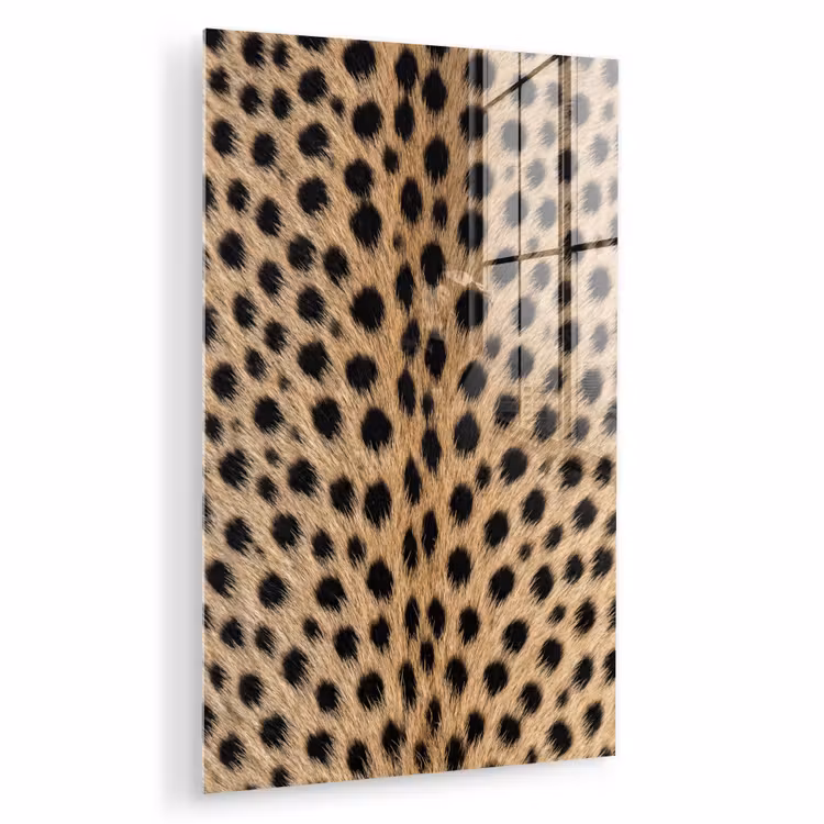 Glas schilderij - Vacht - Jachtluipaard - Zwart - Wit — 1