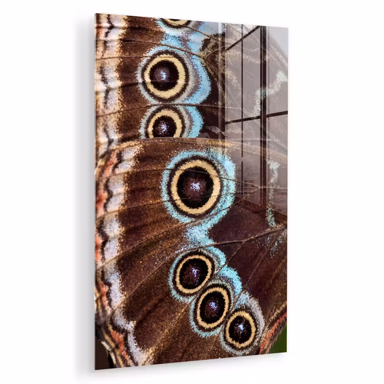 Glas schilderij - Vleugels - Vlinder - Blauw — 1