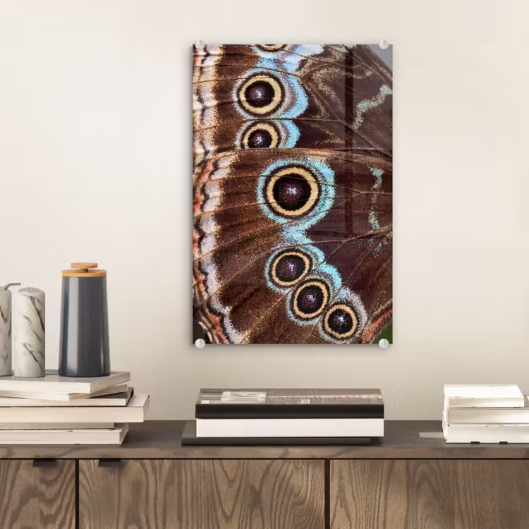 Glas schilderij - Vleugels - Vlinder - Blauw — 2