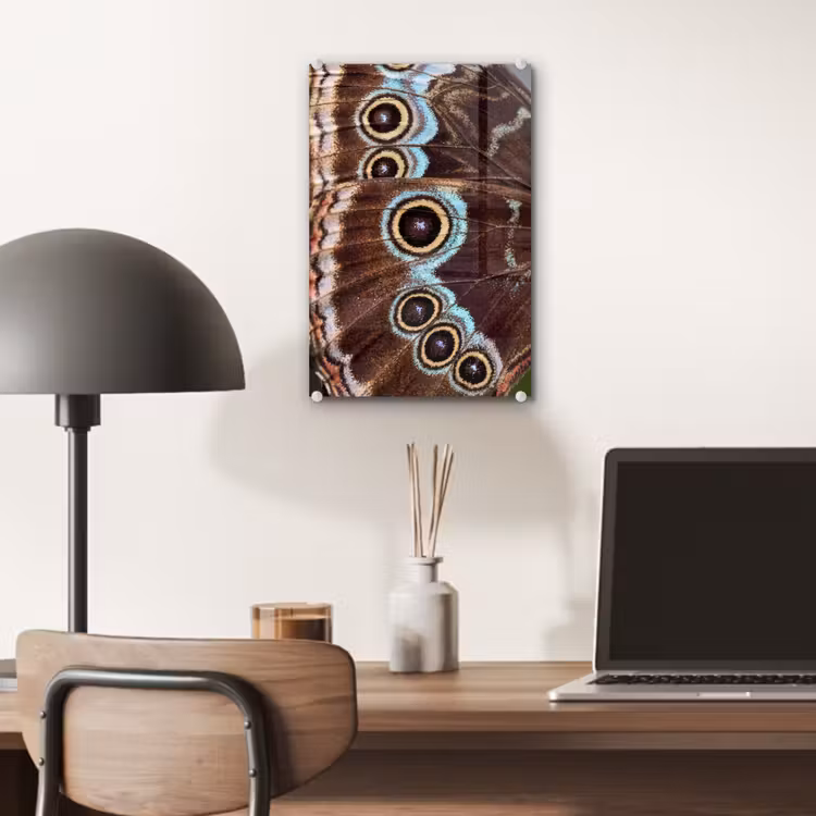 Glas schilderij - Vleugels - Vlinder - Blauw — 7