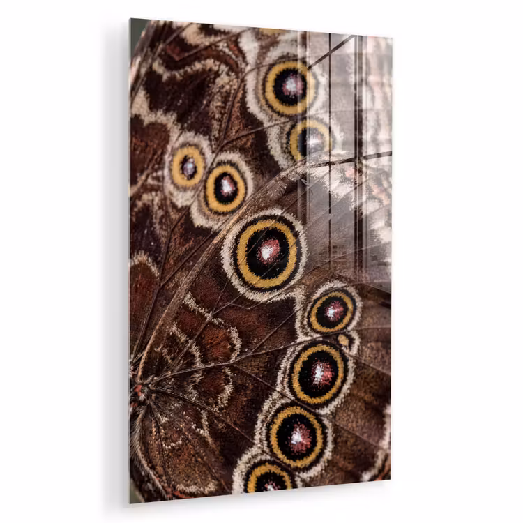 Glas schilderij - Vlinder - Vleugel - Abstract — 1