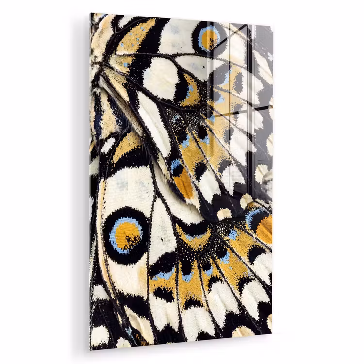 Glas schilderij - Vlinder - Vleugel - Geel — 1
