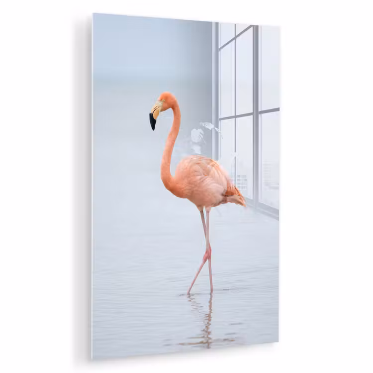 Glas schilderij - Flamingo - Zee - Roze — 1