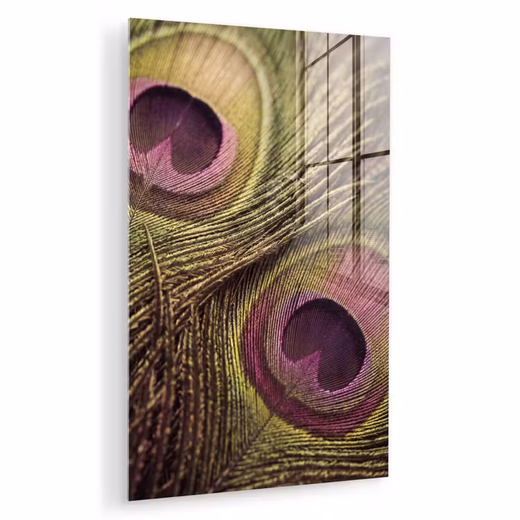Glas schilderij - Pauw - Veren - Paars - Groen — 1