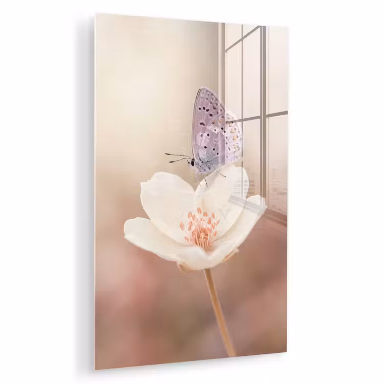 Glas schilderij - Vlinder - Bloem - Blauw — 1