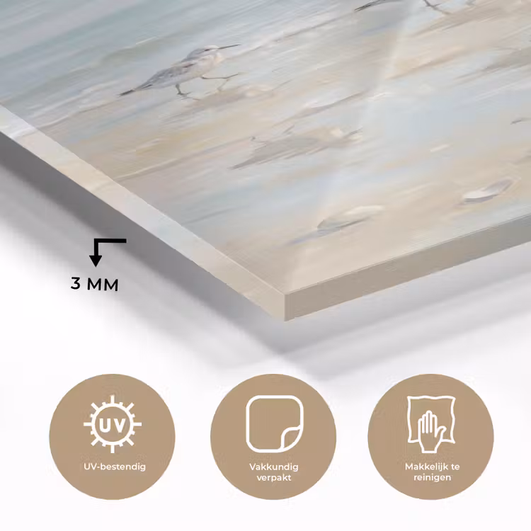 Glas schilderij - Vogels - Strand - Zee — 3